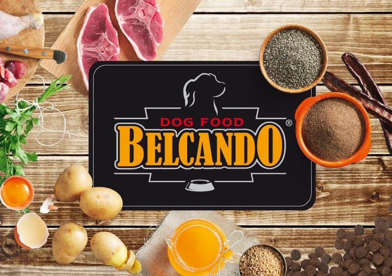 מזון בלקנדו לכלבים - תזונה איכותית לכלב שלכם