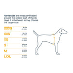 רתמת כלבים מקצועית Ruffwear Front Range Flex - קלה, נושמת וגמישה רתמה לכלב 13_fc88ced3-ff9b-45b5-bd40-fac01faf7050 Ruffwear