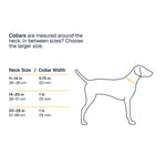 קולר לכלב ה-Ridgeline Collar מבית Ruffwear קולר לכלבים 3_6c66eab7-e25d-48f6-b570-9f5c320db15d Ruffwear