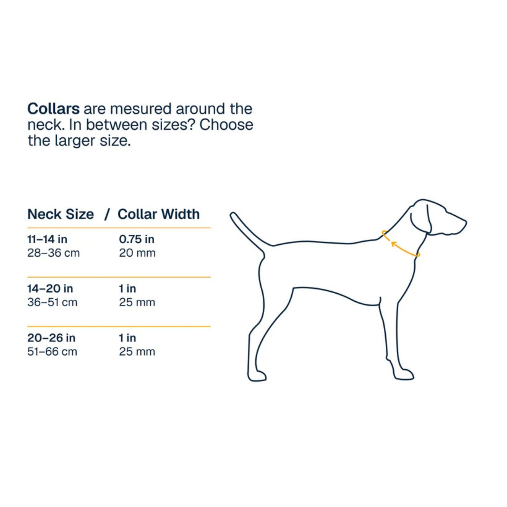 קולר לכלב ה-Ridgeline Collar מבית Ruffwear קולר לכלבים 3_6c66eab7-e25d-48f6-b570-9f5c320db15d Ruffwear