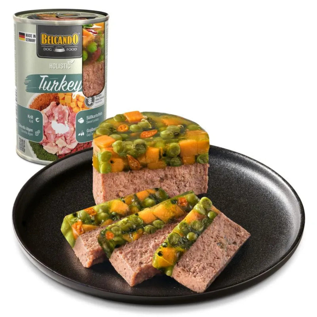 שימורי בלקנדו Belcando Holistic Turkey – הודו משובח עם שכבת סופרפוד הוליסטית 400 גרם שימורים לכלבים 4_8cc5b0e9-6445-4ff9-be93-e221e35f727a Belcando