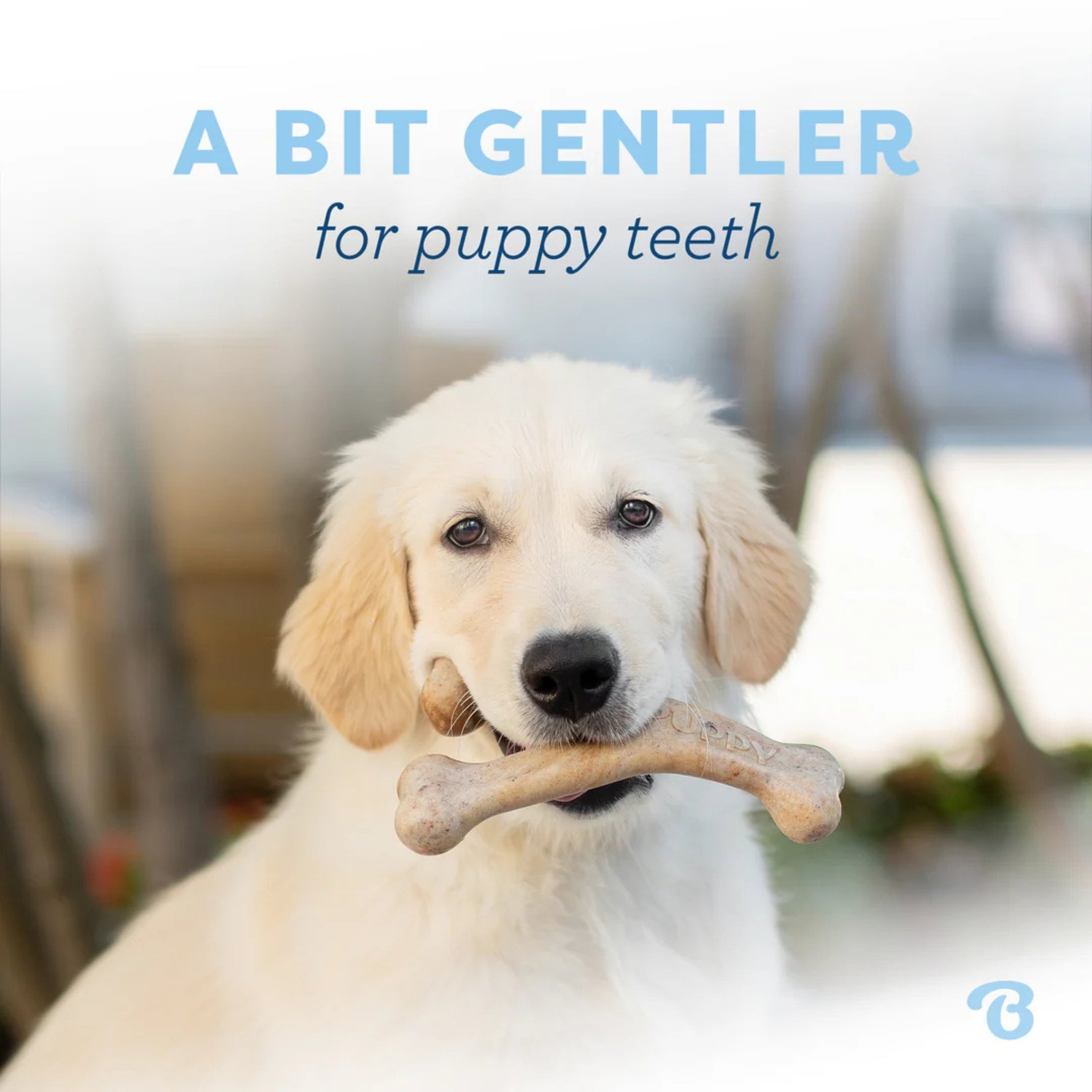 בנבון צעצוע זוג צעצועים לגורים עד 6 ק"ג - ווישבון ועצם לעיסה גומי טבעי צעצוע לכלב 5_e940e0e5-8e19-4cef-9be4-59545a6677a9 BeneBone