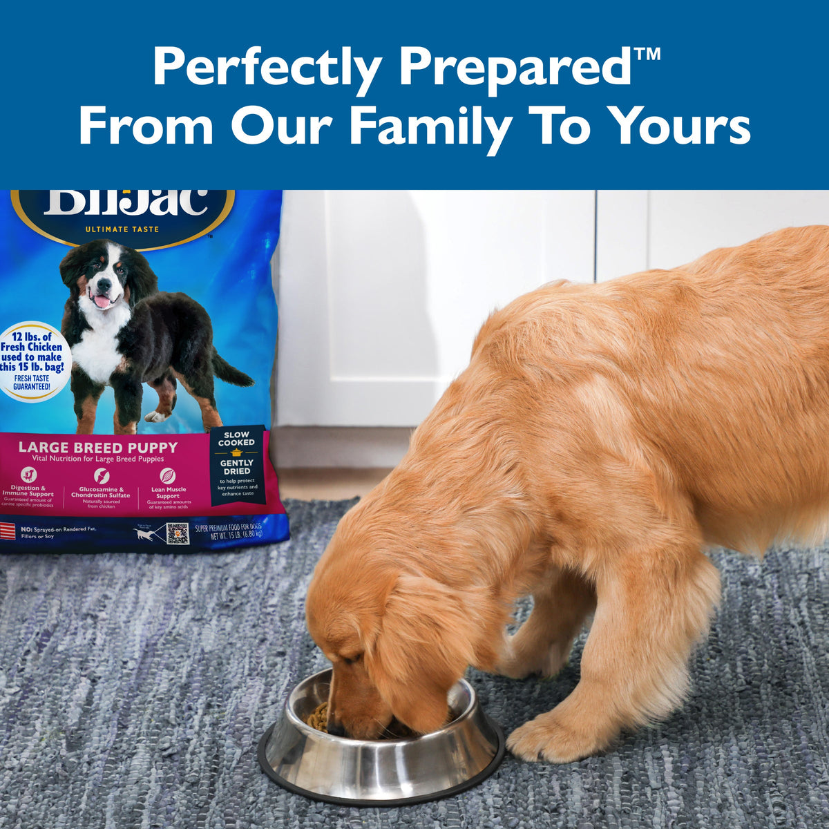 ביל ג’ק גורים גזע גדול 13.6 ק’ג