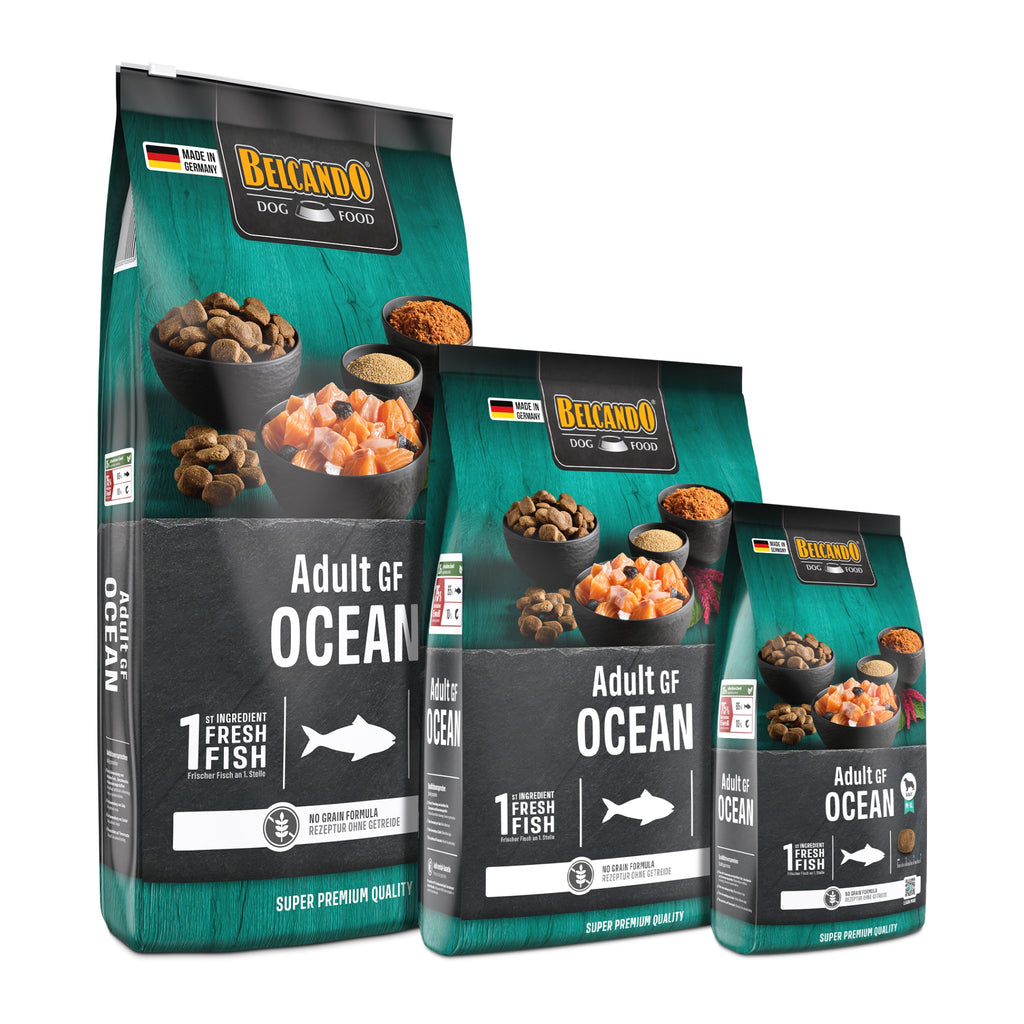 בלקנדו דגי ים ללא דגנים 12.5 ק״ג Belcando Adult GF Ocean