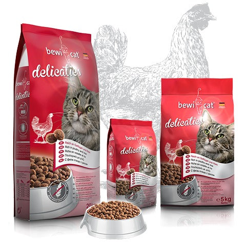 בווי קט דליקטס ללא גלוטן 5 ק״ג