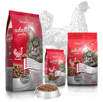 בווי קט עוף סטרלייז 10 ק’ג מזון פרימיום לחתולים