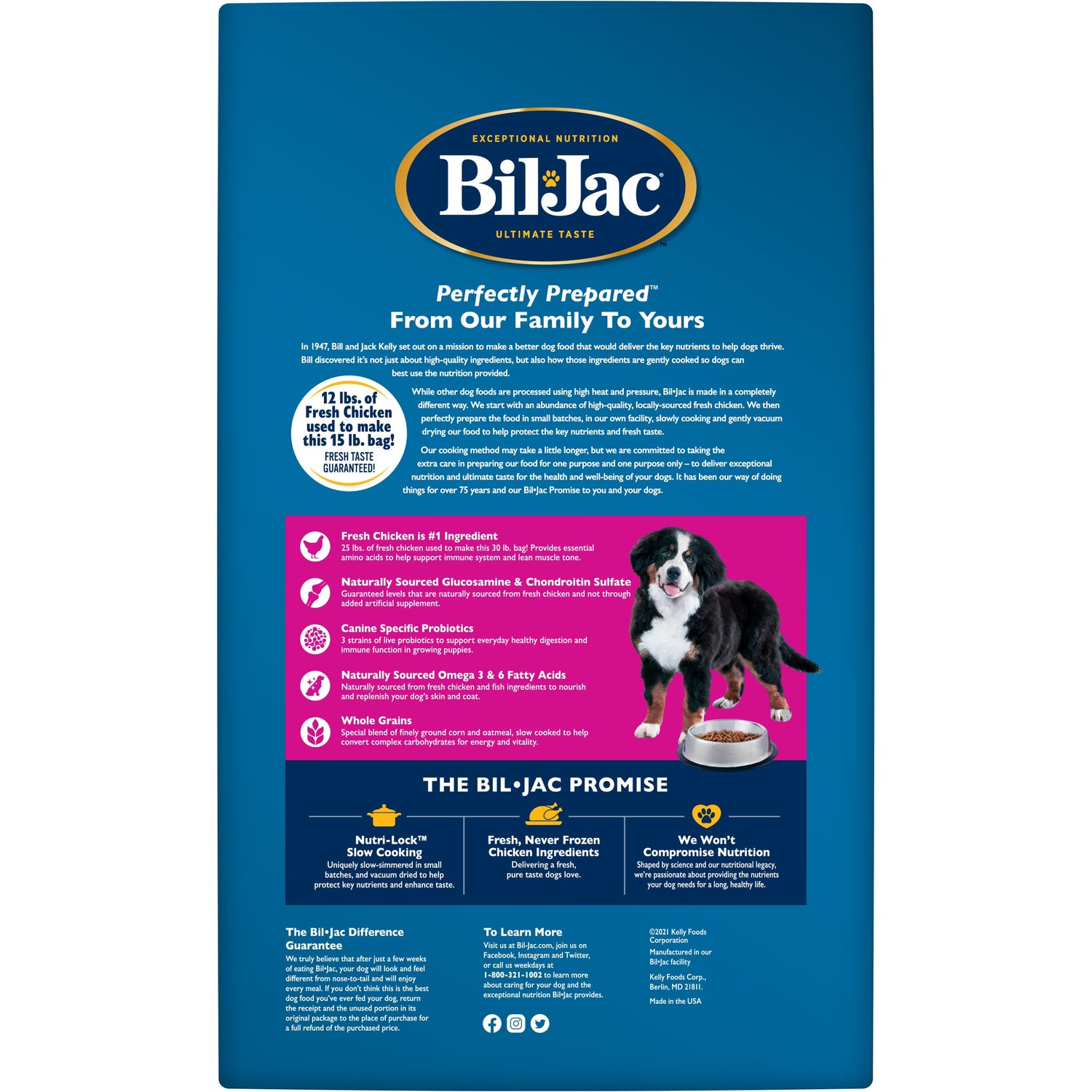 ביל ג’ק גורים גזע גדול 13.6 ק’ג