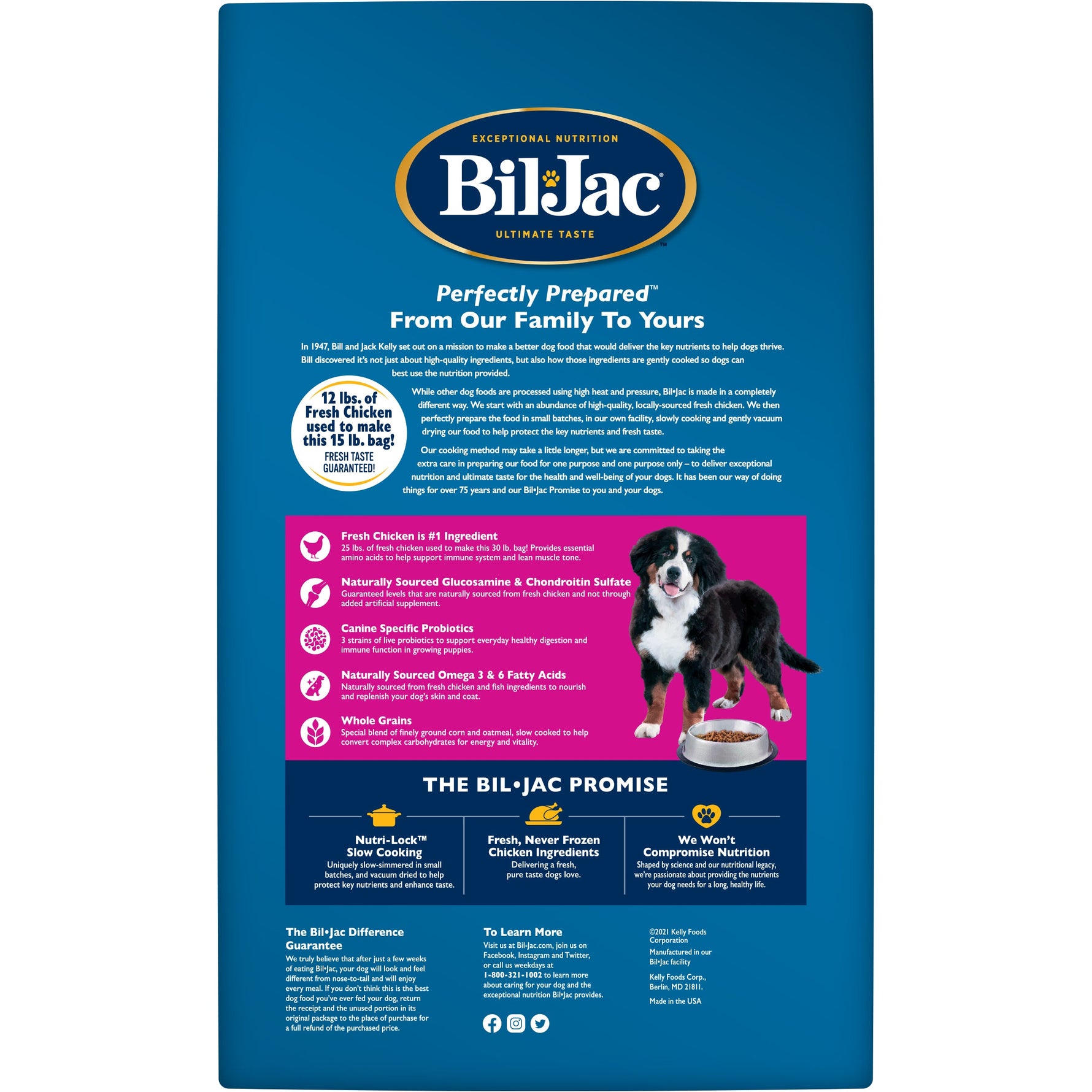 ביל ג’ק גורים גזע גדול 13.6 ק’ג