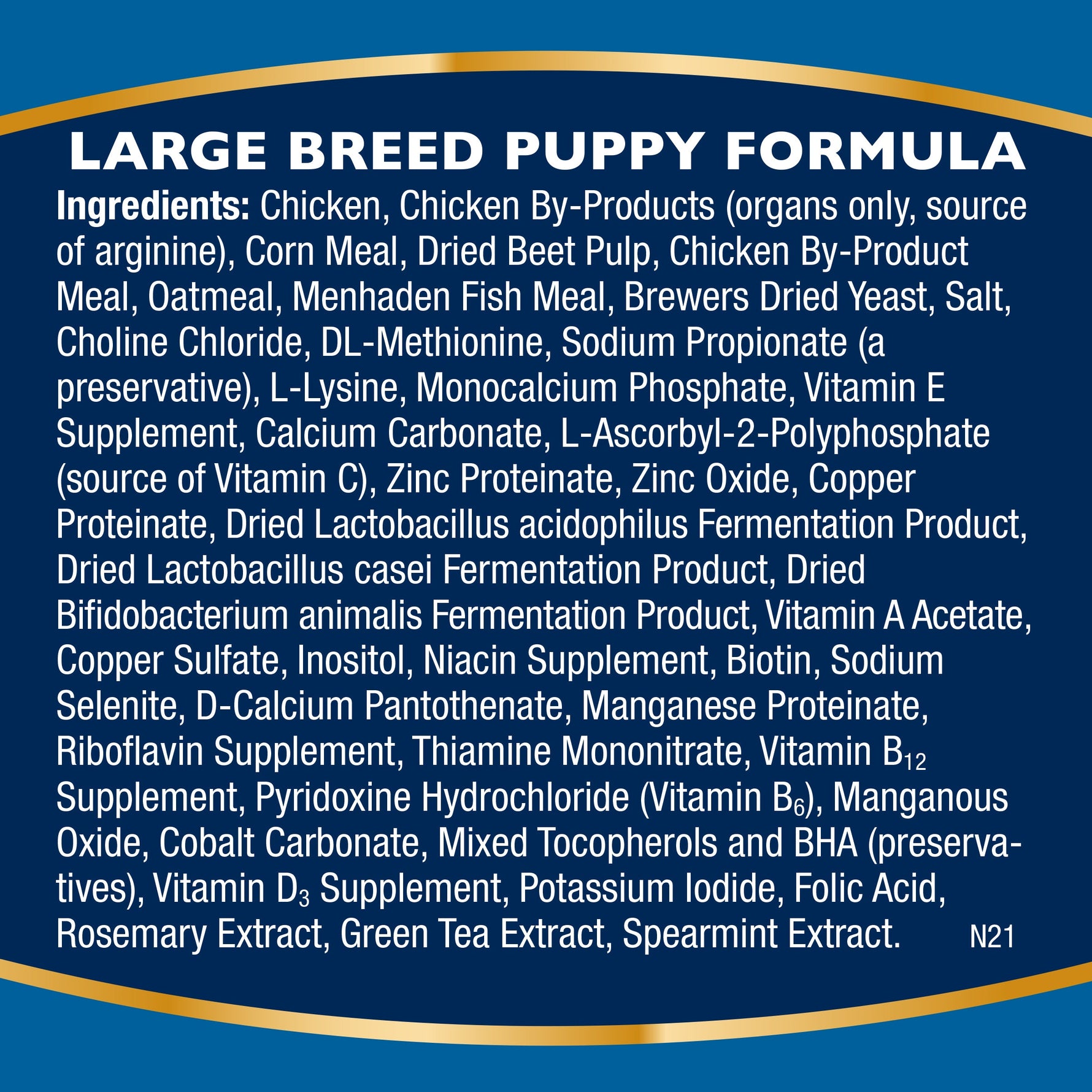 ביל ג’ק גורים גזע גדול 6.8 ק’ג