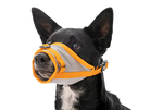 ערכת חירום BackTrak Dog Evacuation Kit