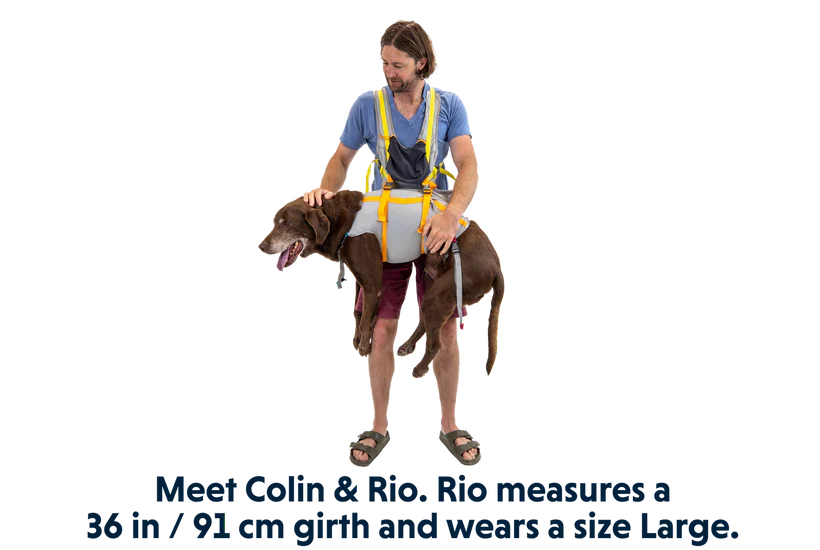 ערכת חירום BackTrak Dog Evacuation Kit