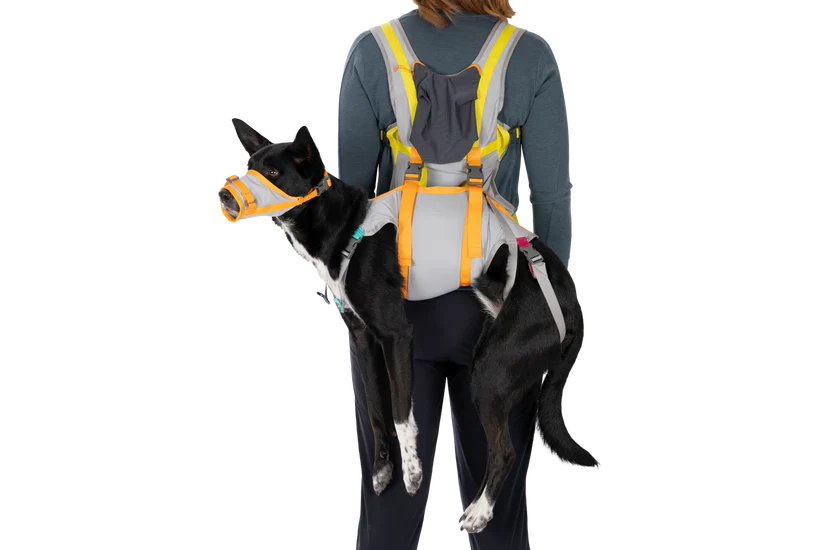 ערכת חירום BackTrak Dog Evacuation Kit