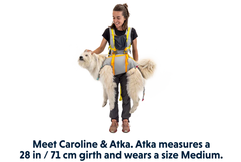 ערכת חירום BackTrak Dog Evacuation Kit