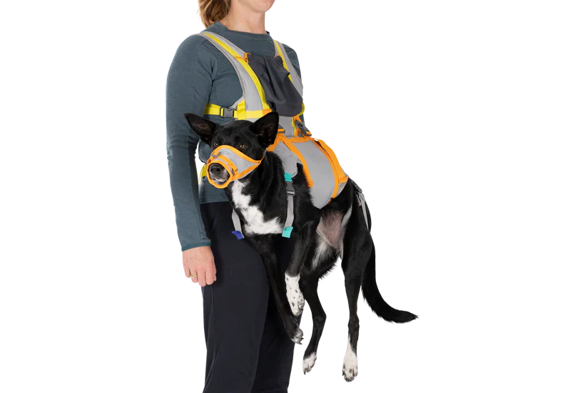 ערכת חירום BackTrak Dog Evacuation Kit