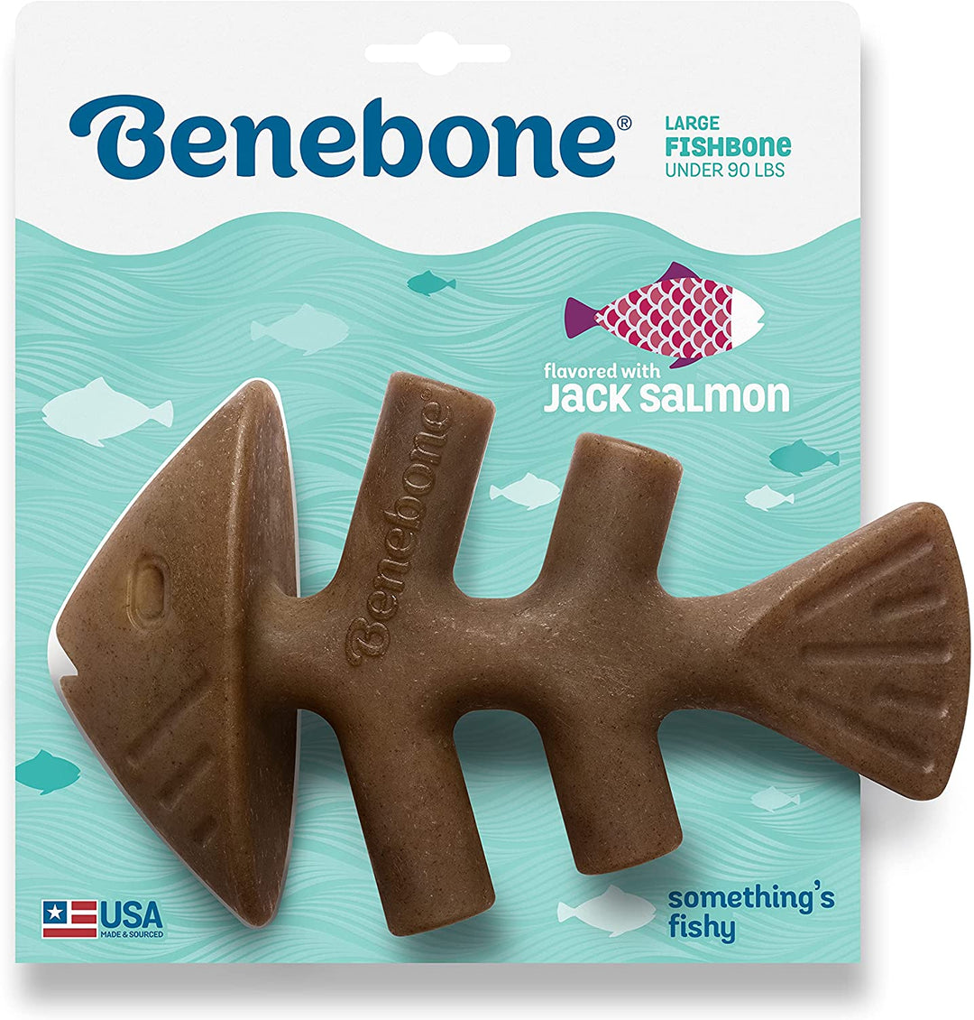 עצם בנבון פישבון סלמון גדול etzem-benbony-pishboun-salmu-gdoul-747 BeneBone