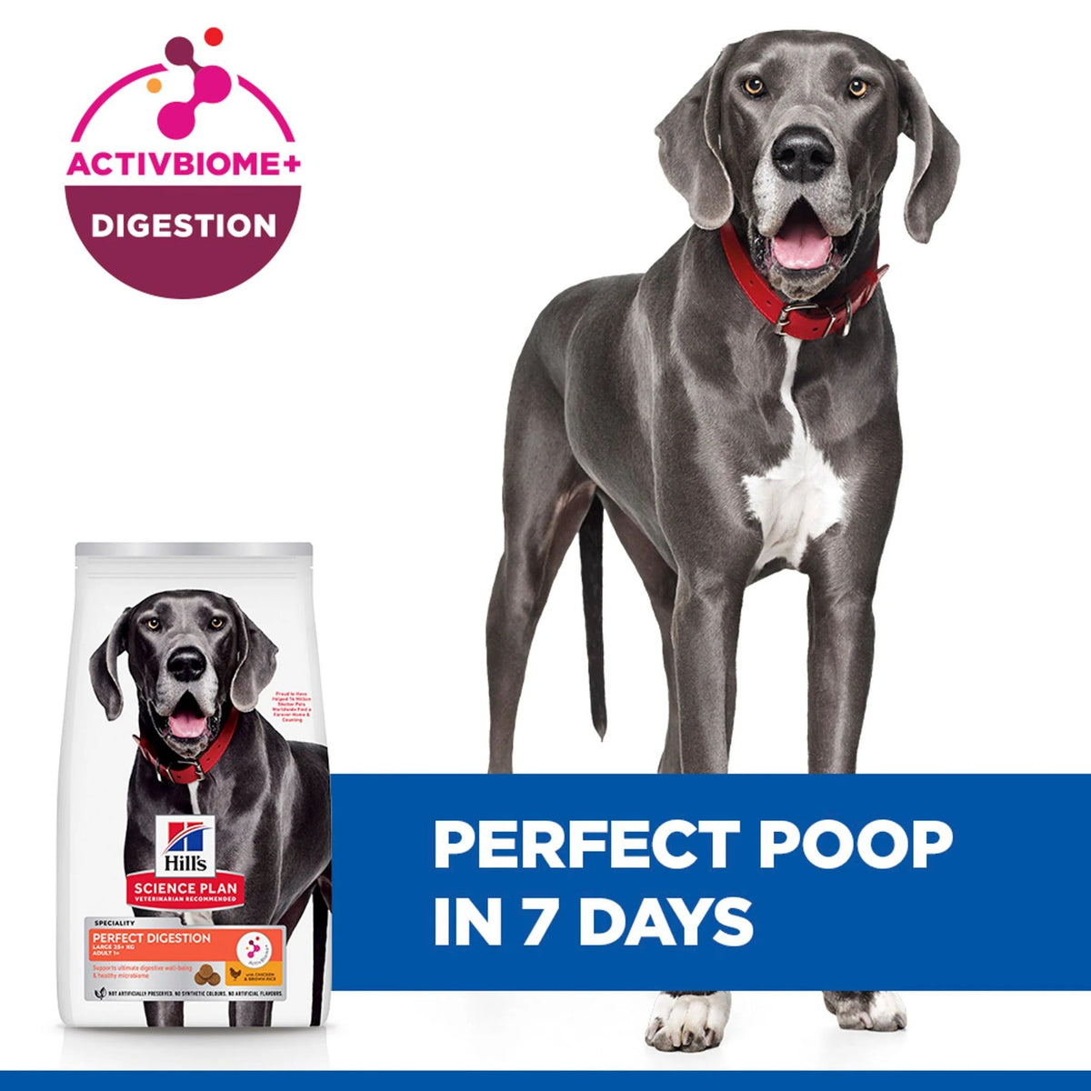 הילס לכלב בוגר מגזע גדול Perfect Digestion (עם עוף), 14 ק"ג