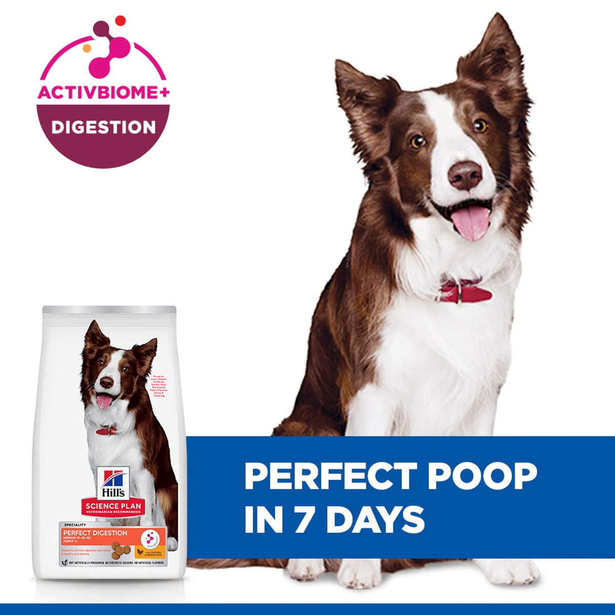 הילס לכלב בוגר מגזע בינוני Perfect Digestion (עם עוף), 14 ק"ג