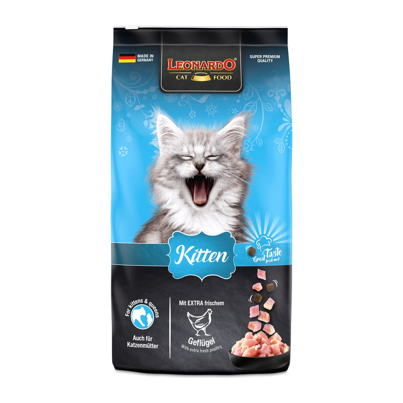 Kitten – לגורי חתולים
