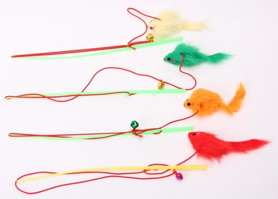 משחק חתול חכה עכבר צבעוני