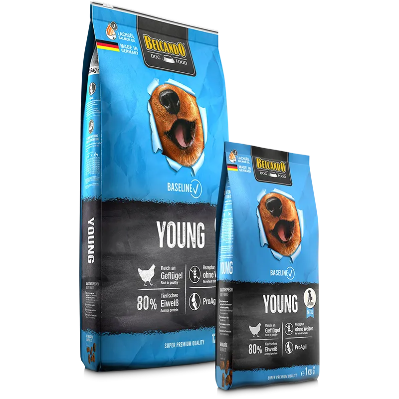 מזון יבש איכותי לכלבים צעירים ומתבגרים Belcando Baseline Young 12.5 ק״ג מזון יבש לכלבים mazun-ibsh-aykyuti-lkblbym-tzyrrym-wmtbrgyrm-bedcando-baseline-young-12-5-838 Belcando