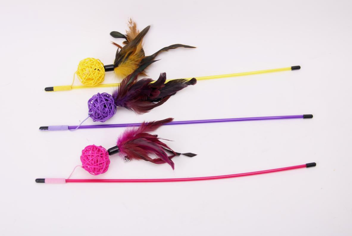 משחק חתול חכה כדור ונוצה ארוכה