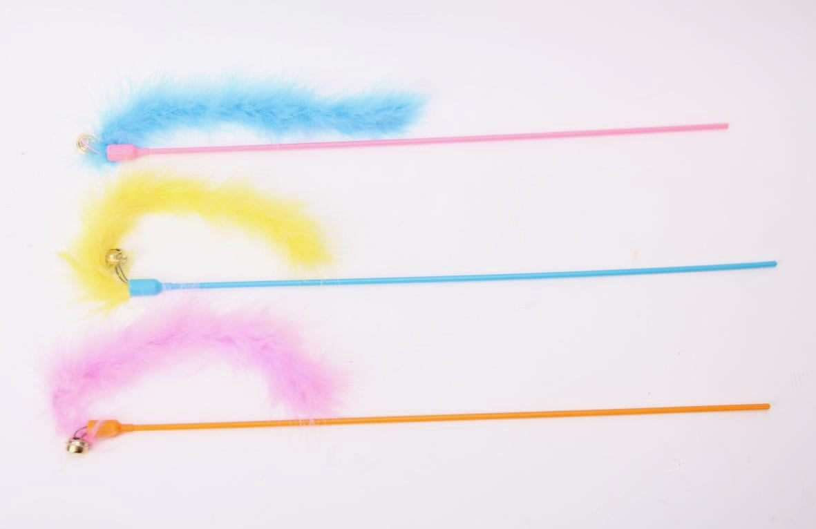 משחק חתול חכה סרט וזנב