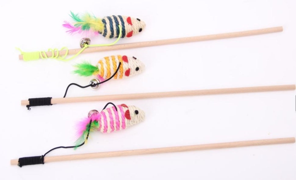 משחק חתול חכה עכבר מחובלל