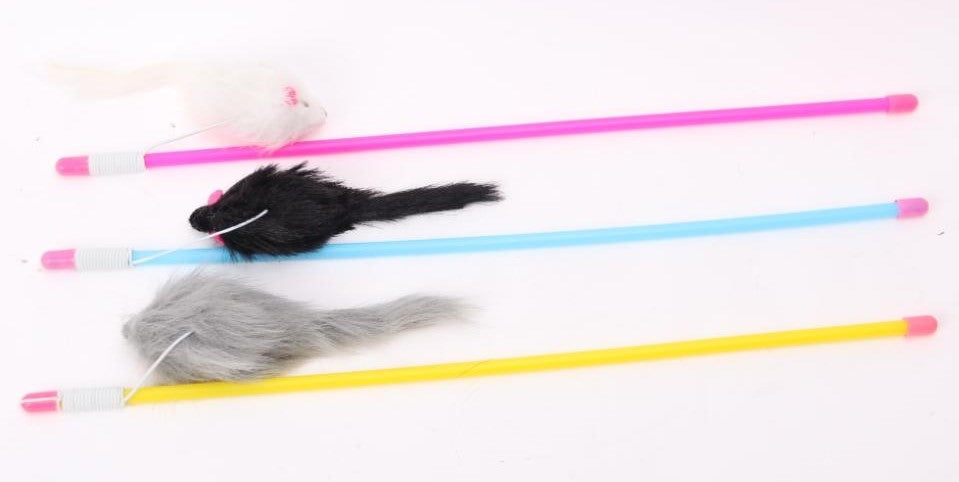 משחק חתול חכה עם עכבר