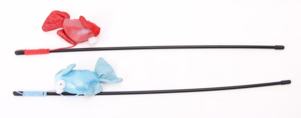 משחק חתול חכה עם דג