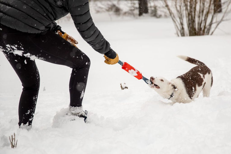 פפירול לכלב ראפור PACIFIC LOOP צעצוע לכלב ppirell-lklb-rapuorp-pacific-loop-914 Ruffwear