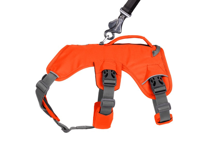 רתמה ראפוור לכלב Web Master Harness