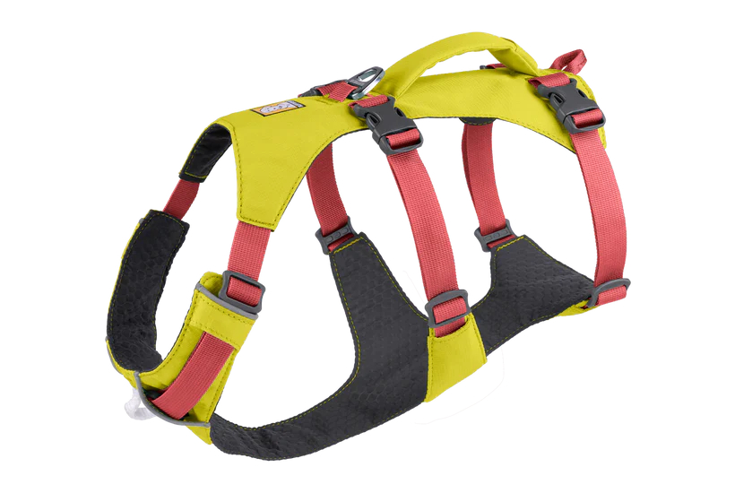רתמה ראפוור לכלב FLAGLINE DOG HARNESS