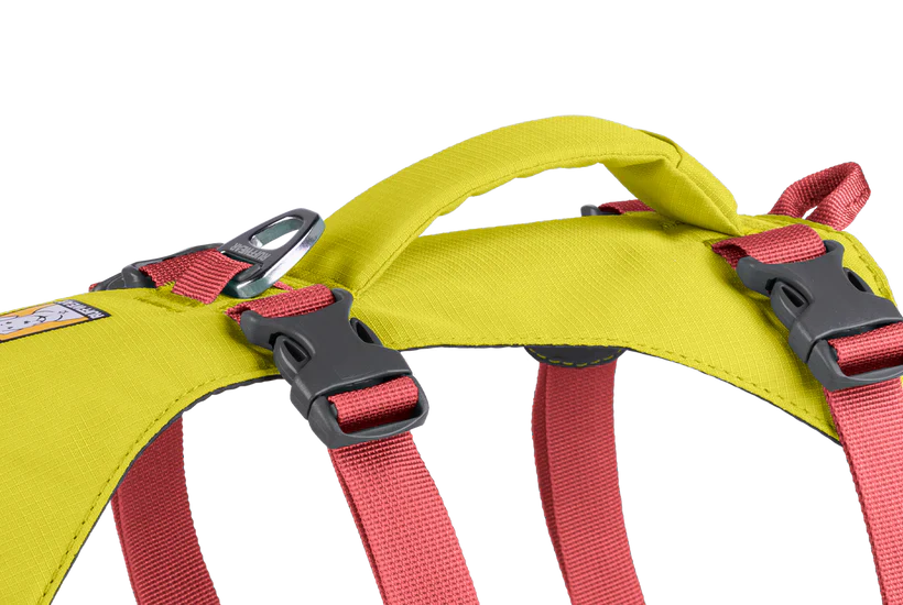 רתמה ראפוור לכלב FLAGLINE DOG HARNESS