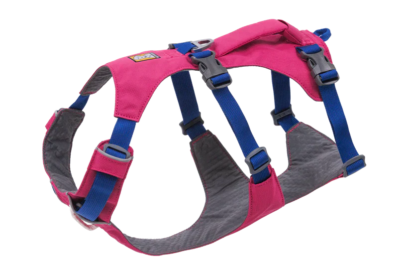 רתמה ראפוור לכלב FLAGLINE DOG HARNESS
