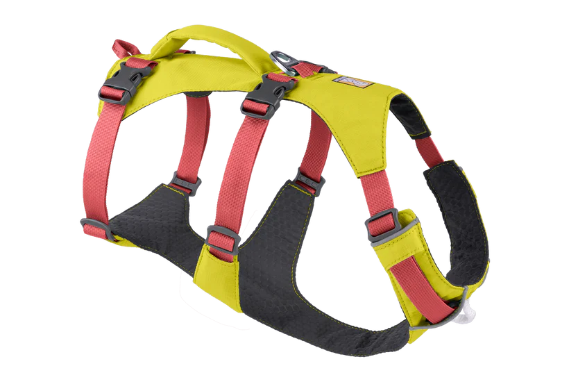 רתמה ראפוור לכלב FLAGLINE DOG HARNESS
