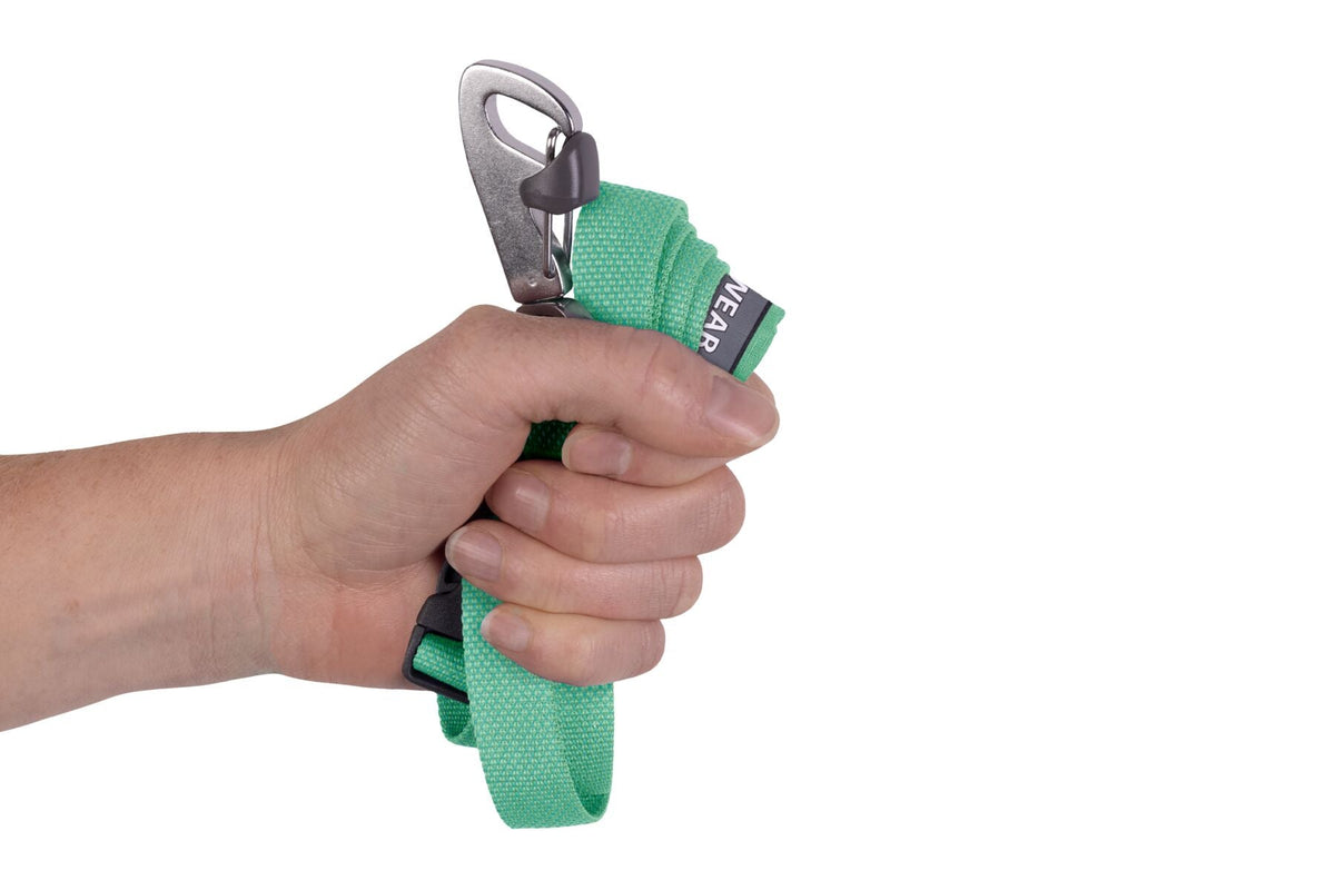 רצועה לכלב Flagline Dog Leash