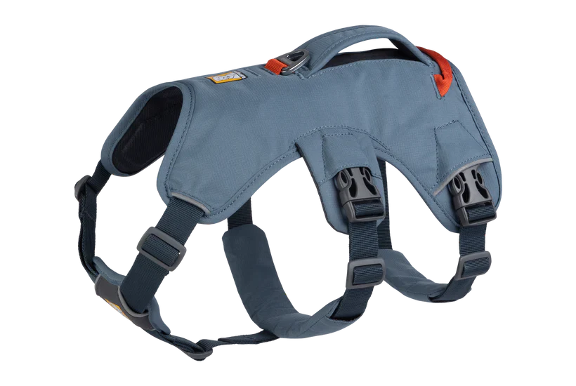 רתמה ראפוור לכלב Web Master Harness