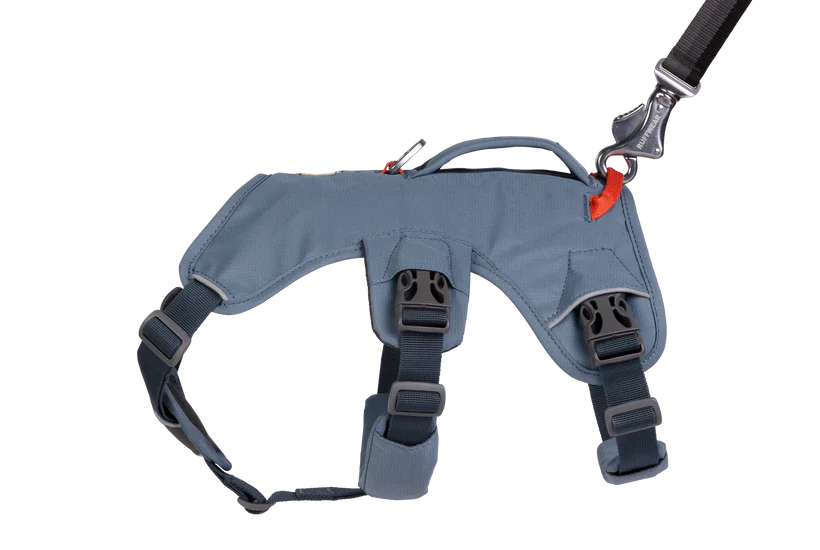 רתמה ראפוור לכלב Web Master Harness