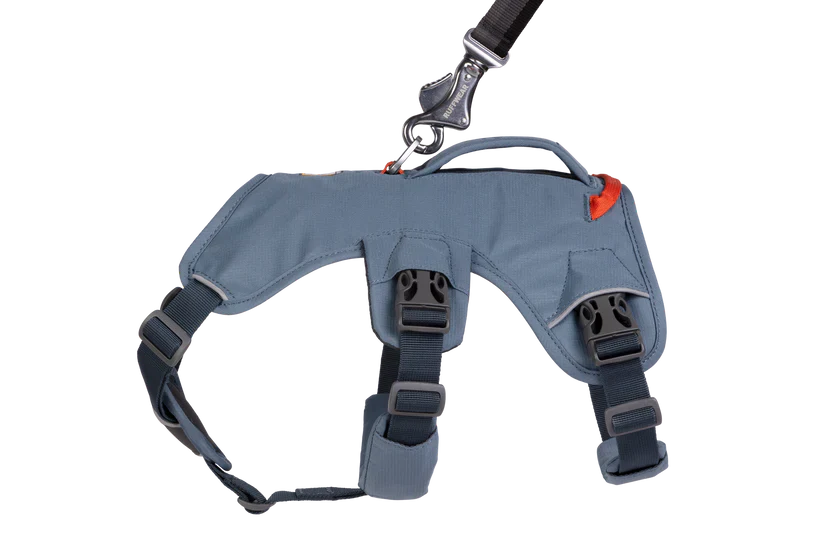 רתמה ראפוור לכלב Web Master Harness