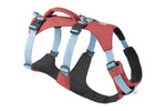 רתמה ראפוור לכלב FLAGLINE DOG HARNESS