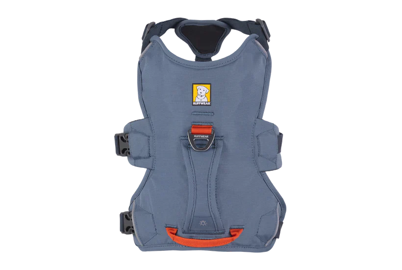 רתמה ראפוור לכלב Web Master Harness