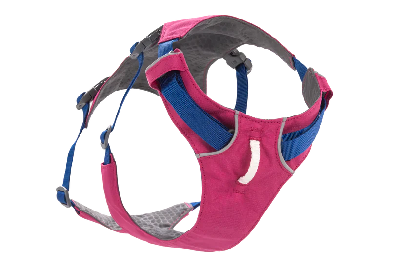 רתמה ראפוור לכלב FLAGLINE DOG HARNESS