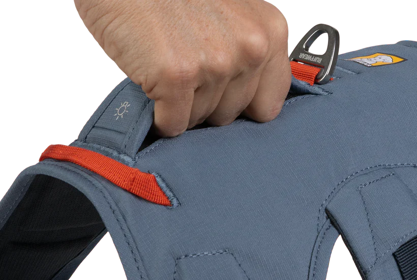 רתמה ראפוור לכלב Web Master Harness