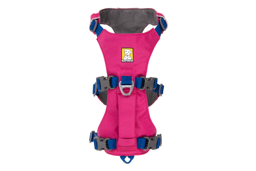 רתמה ראפוור לכלב FLAGLINE DOG HARNESS