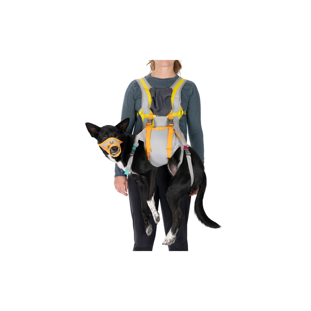 ערכת חירום BackTrak Dog Evacuation Kit