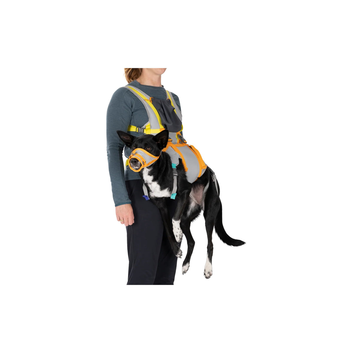 ערכת חירום BackTrak Dog Evacuation Kit
