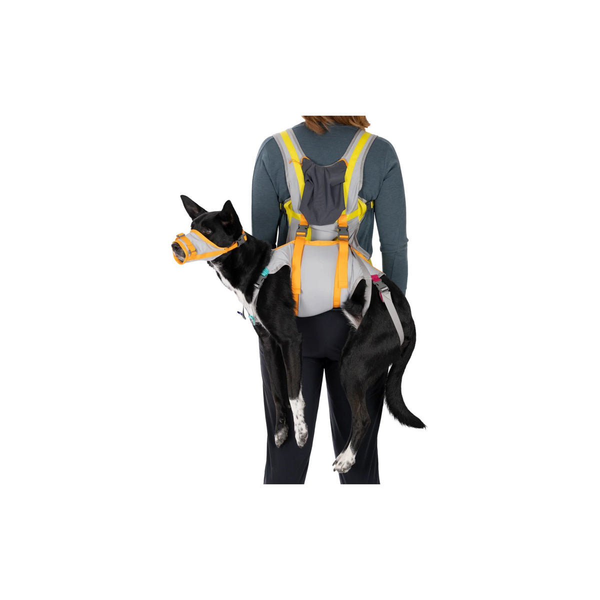 ערכת חירום BackTrak Dog Evacuation Kit
