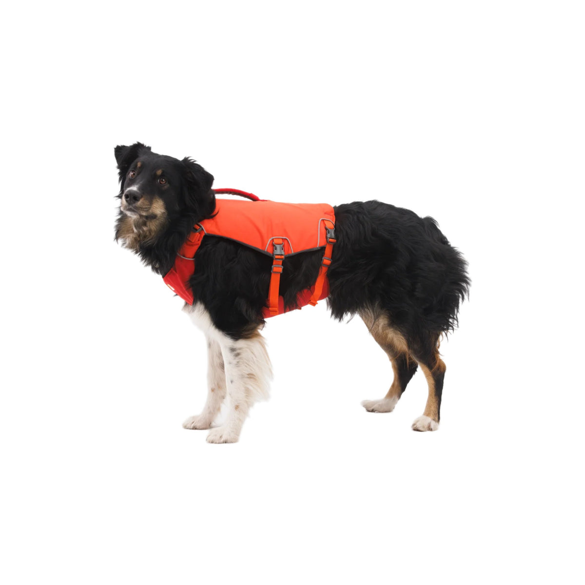 ווסט ציפה Ruffwear CONFLUENCE LIFE JACKET