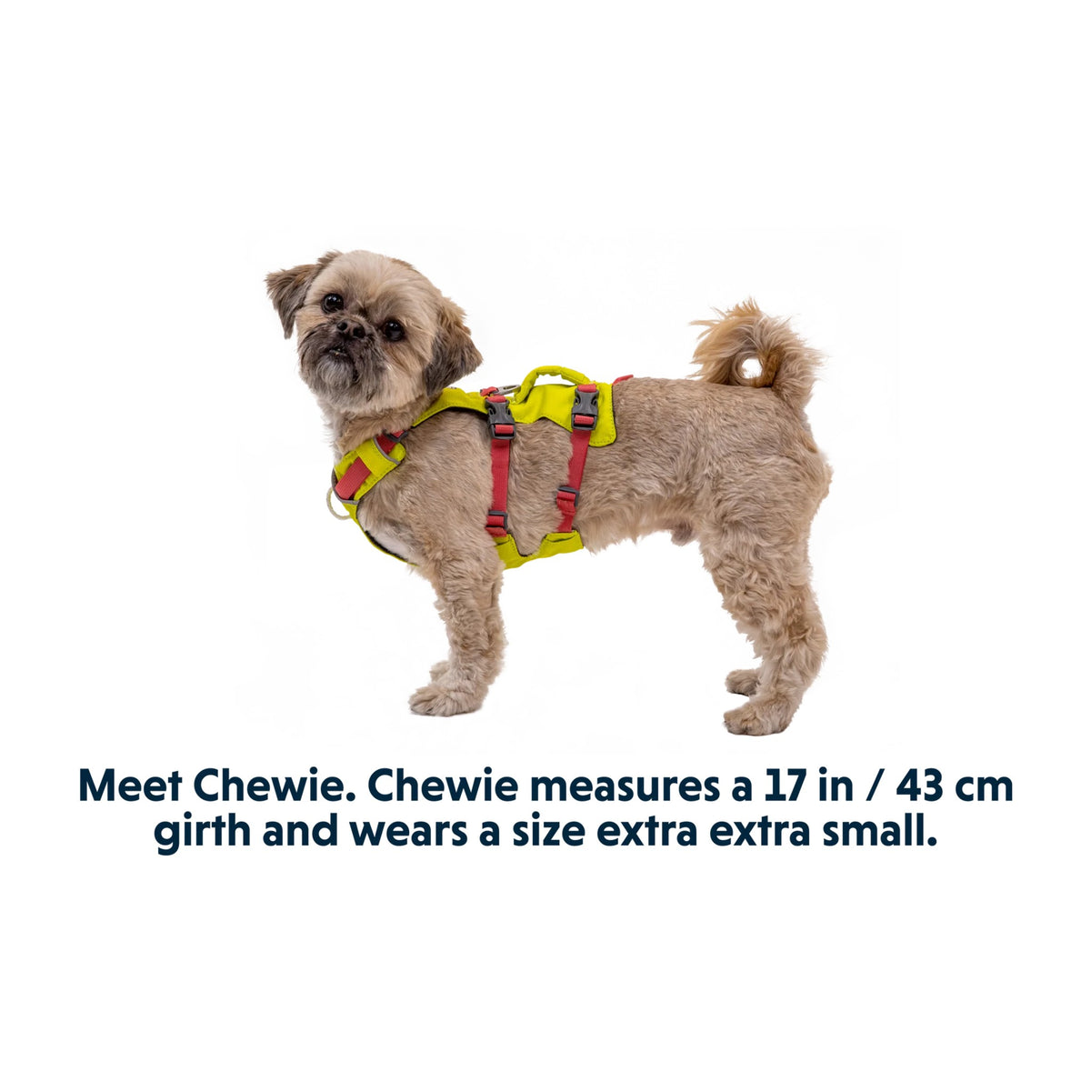 רתמה ראפוור לכלב FLAGLINE DOG HARNESS