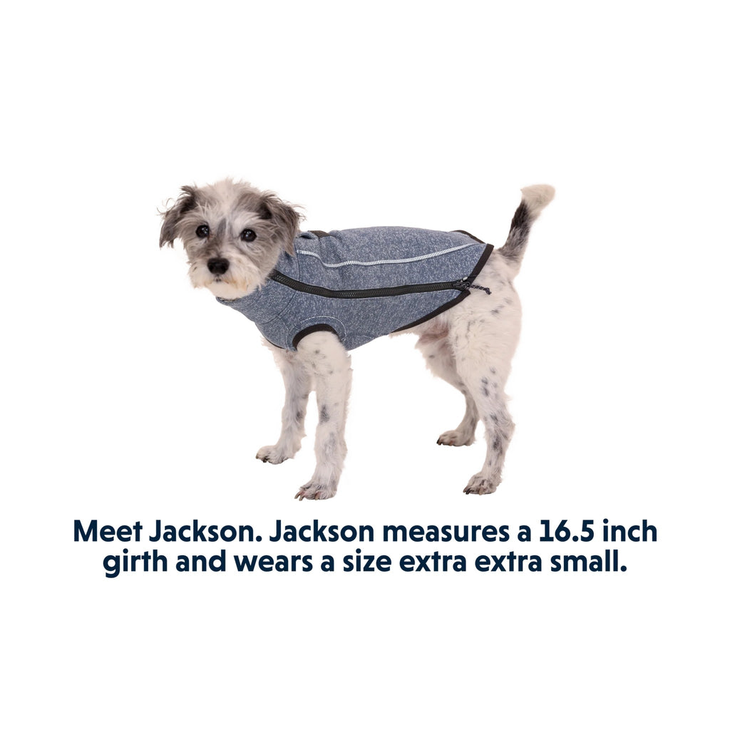 סוודר קנבוס לכלב Hemp Hound Dog Sweater